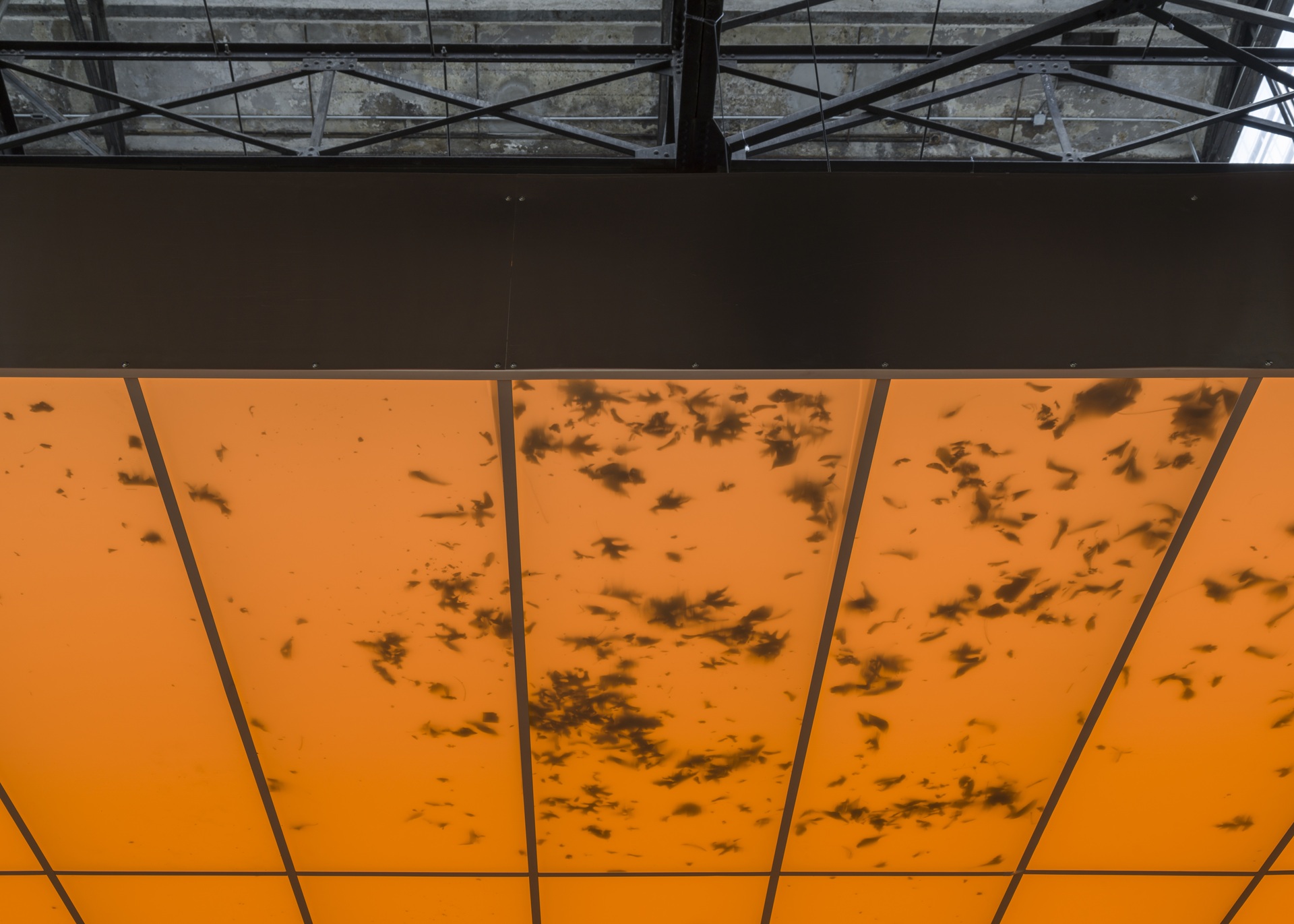 阿瓦羅・烏爾巴諾-image